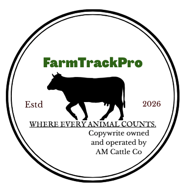 ding autumn moore photoroom